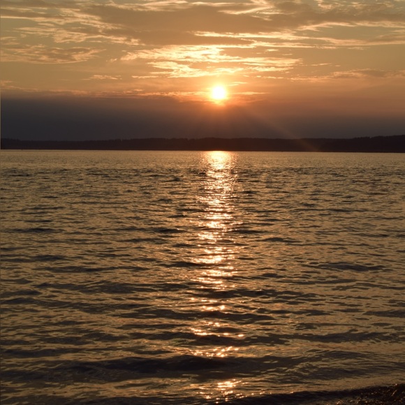 Nikon Black DSLR Camera with Orange Interior Case - Picture 7 of 7